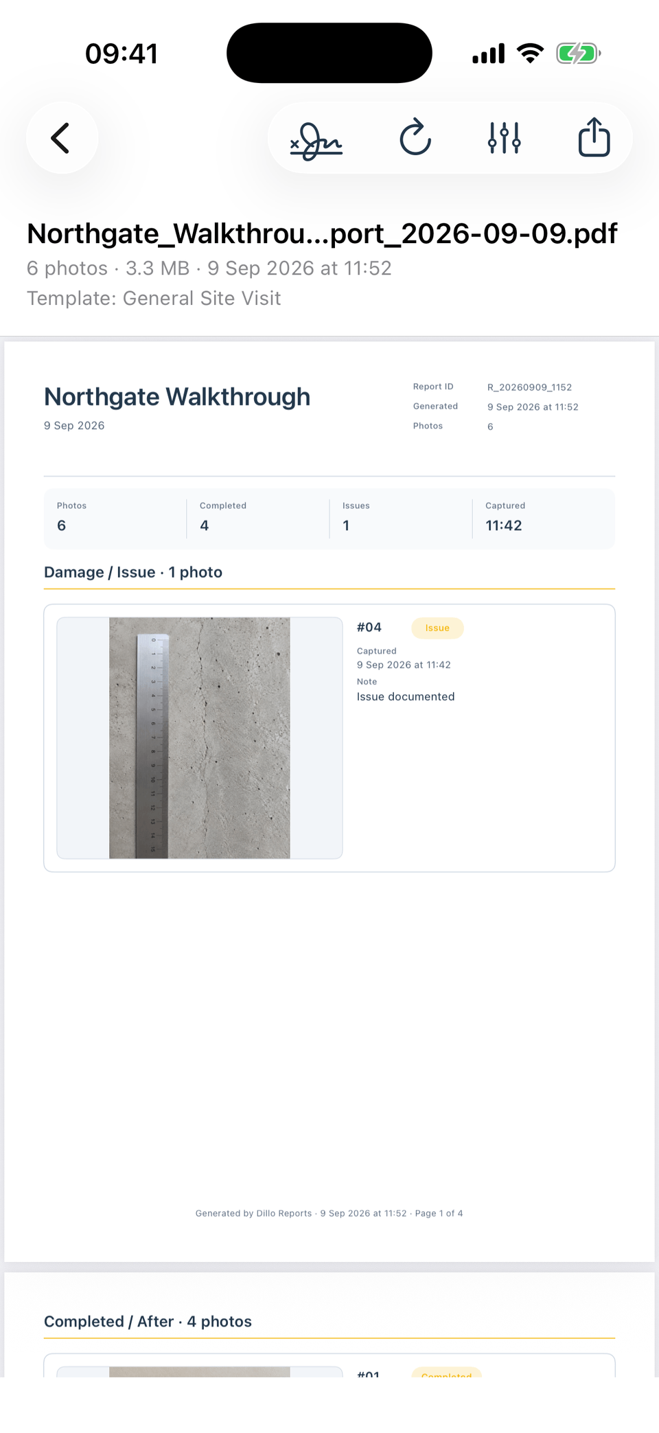 Dillo Reports PDF preview showing a report summary and documented issue photo for a fictional walkthrough.